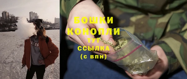 винт Горняк
