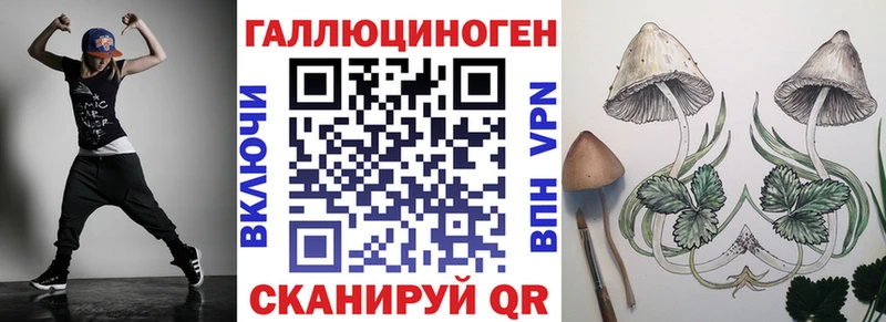 где можно купить   Новая Ладога  Галлюциногенные грибы MAGIC MUSHROOMS 
